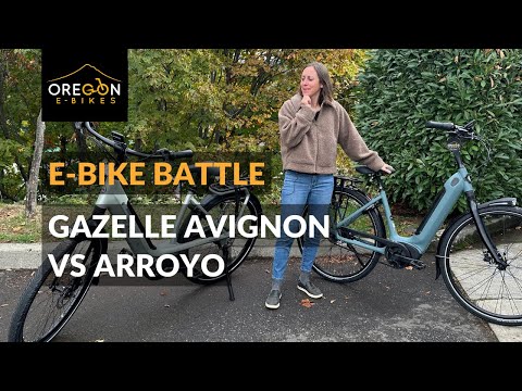 E-Bike Battle: Gazelle Arroyo C5 or Avignon C380
