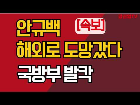 [속보] 안규백 해외로 도망갔다/<strong>국방부</strong> 발칵