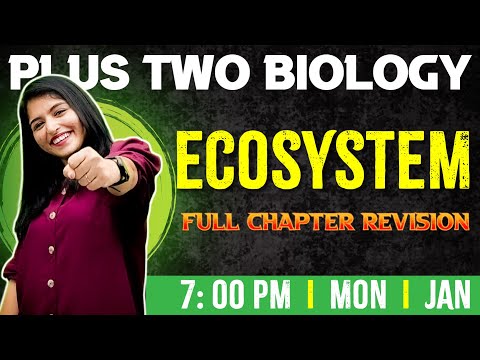 Plus Two Biology | Ecosystem | Chapter 13 | Full Chapter | Exam Winner Plus Two