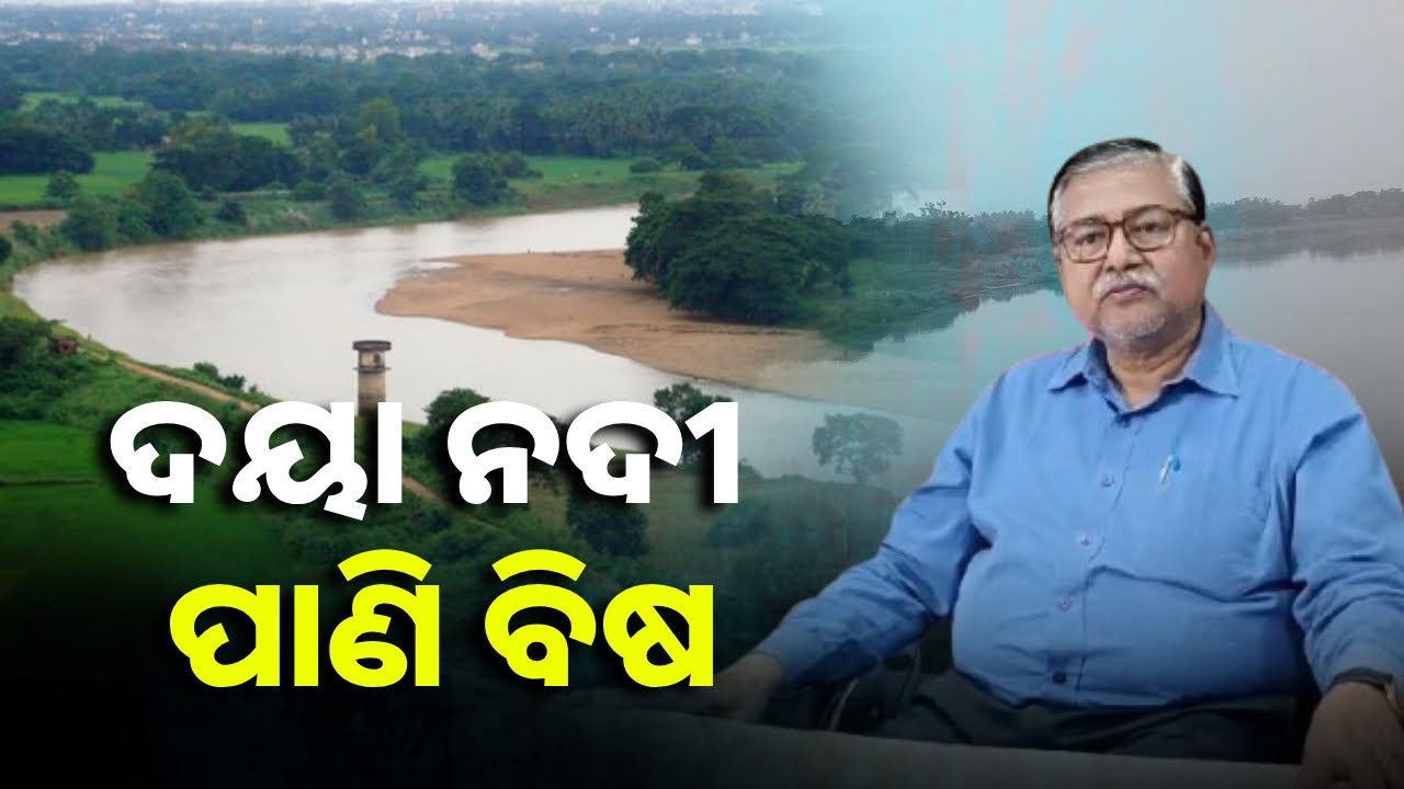 ଲୋକଙ୍କ ଜୀବନ ନେଉଛି ଦୟା ନଦୀ , ଗଲାଣି ୪ ଜୀବନ || Knews Odisha