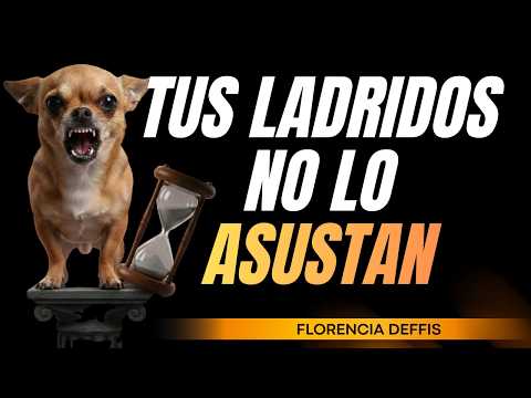 ¿Por qué él NO te respeta? El Síndrome del Chihuahua | Psicología Masculina