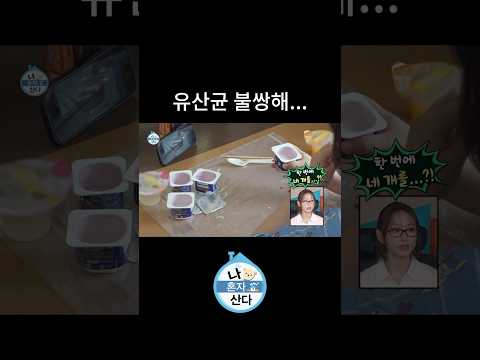 요거트 4개 순삭