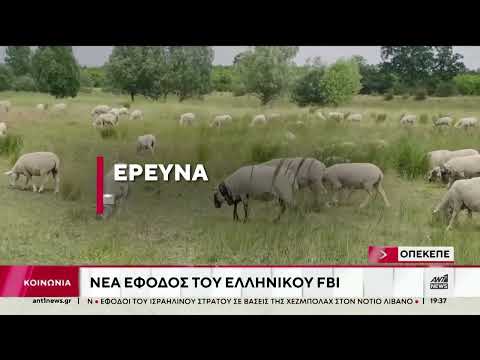 ΟΠΕΚΕΠΕ: Η έφοδος και η ποινή σε υπάλληλο