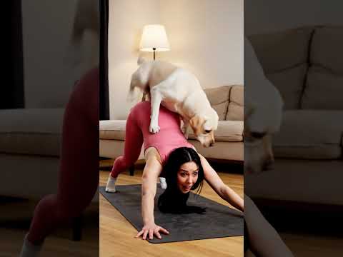 Yoga Turned Into a Love Story ❤️ #goldenretriever #goldenretreiver #puppy #goldenretreivers