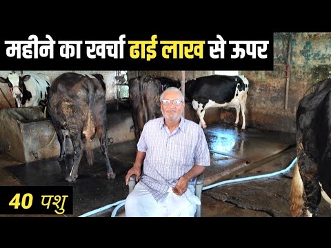 5 गाय से 40 गाय का सफर | Dairy Farming