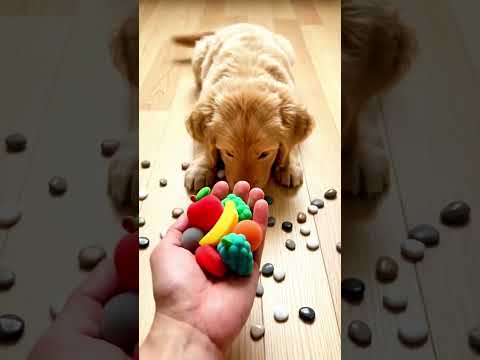 Funny Puppy Moments – Relax & Smile #puppy #dog #cute