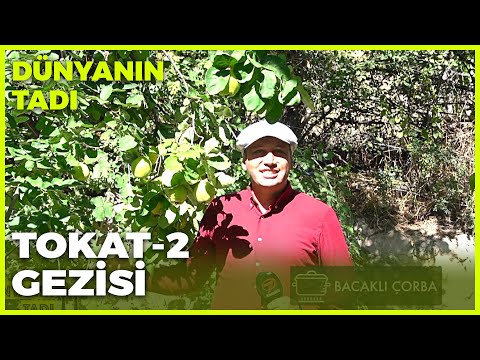 Dünyanın Tadı – Tokat-2 | 8 Ekim 2022