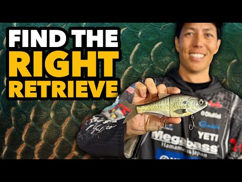 EXPERIMENT With Glide Baits - Every Swimbait Swims Different (Practice The Retrieve)