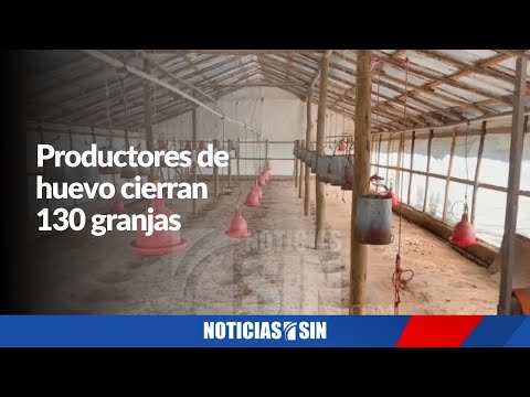 Productores de huevo cierran 130 granjas