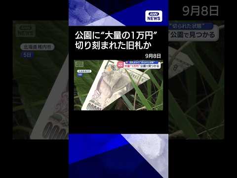 Pluie de billets découpés : le mystère des 10 000 yens de Wakkanai