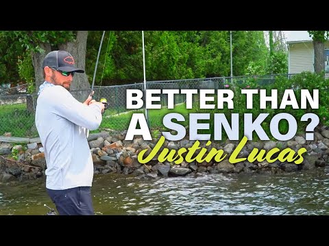 Justin Lucas Wacky Rig Secrets: "The General" Edge + Dock Fishing Quick Tips For Shallow Bass