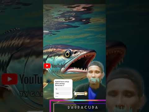 FISHING REEL'S : BARRACUDA BALANCE ECOSISTEM, PREDATOR | SUNGAI AMAZONE #shorts #barracuda