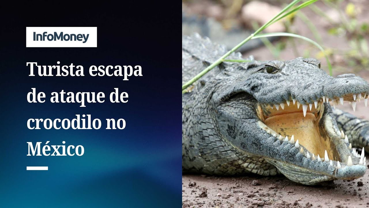 TURISTA ESCAPA DE ATAQUE DE CROCODILO EM PUERTO VALLARTA