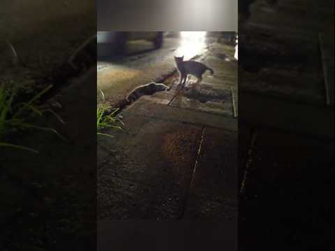 มีเรื่องราวดี ๆ ในวันเก่า ให้จำกันได้รึเปล่า? / The Warm Days Gone By