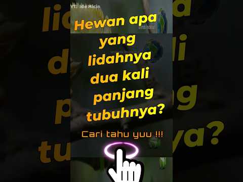 Hewan ini punya lidah 2 kali panjang tubuhnya ?