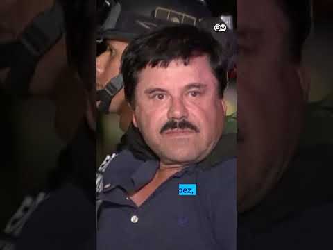 Mexican drug lords arrested in the US | DW News