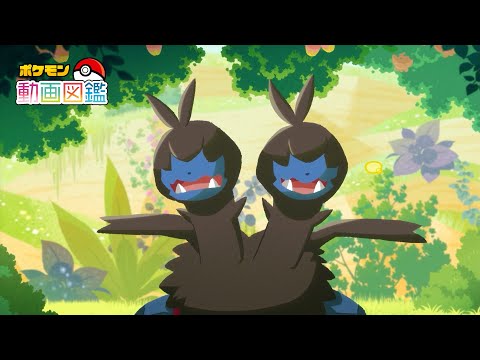 【公式】「ポケモン動画図鑑」No.0634 ジヘッド