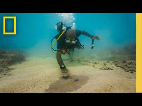 Dr. Kathleen Martinez Uncovers an Ancient Port | Cleopatra’s Final Secret | National Geographic