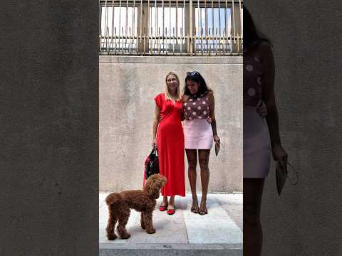 Let’s overdress together 🌸#zara #zaraoutfit #zaralook #girlfriends #zaraspring #poodle #bassano