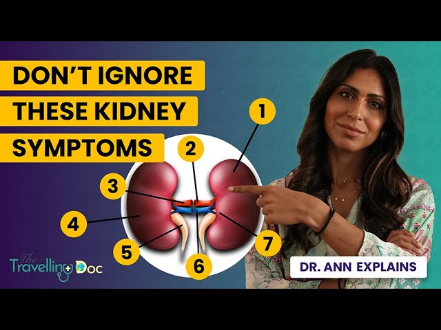 Kidney failure affects millions of people worldwide and can have devastating consequences on one's health and quality of life. In this informative video, we explore the various stages of kidney failure, from mild to severe, and the potential causes such as diabetes, high blood pressure, and certain medications. We'll also discuss the different treatment options available, including dialysis and kidney transplant, and the challenges and lifestyle changes that come with managing this condition. Join us as we raise awareness about kidney failure and provide valuable insights and resources for those who are currently living with it or at risk for developing it.
Welcome to The Travelling Doc's YouTube channel – your trusted companion on the journey to better health and well-being!

✅ FOLLOW ME and Subscribe now, and let's get started on your path to well-being! 💪🏥
👉 Bio: https://linkin.bio/the-travellingdoc  
👉 Website: https://TheTravellingDoc.com/ 
👉 Instagram: https://www.instagram.com/the.travellingdoc/  
👉 Twitter: https://twitter.com/TravellingDocUK
👉 LinkedIn: https://www.linkedin.com/company/the-travelling-doc
======================================

🌟 Embark on a voyage of discovery with me, Dr. Ann, as your dedicated physician. I'm here to empower you with the knowledge and insights you need to lead a healthier, happier life.

📚 From expert doctor's advice to practical tips, I'm committed to providing you with the guidance you deserve.

🩺 Your well-being is my priority, and together, we'll navigate the path to a healthier you. So, hit that "Subscribe" button and join our ever-growing community of health-conscious individuals.

🌐 For even more valuable resources, visit my website at https://TheTravellingDoc.com/. Your health journey begins here, and I'm thrilled to be your trusted guide.
======================================

✅ Other Videos You Might Be Interested In Watching:

👉 Urine Infections Symptoms, Treatment, Cystitis, Doctor explains
https://www.youtube.com/watch?v=BG4Q0zs5nSs

👉 GENITAL WARTS - Doctor Explains
https://www.youtube.com/watch?v=Bh7XUq0HORE

👉 HPV Vaccine - HPV Myths + HPV Facts + HPV virus
https://www.youtube.com/watch?v=ig7q1H474Y4

👉 Welcome to my page


https://www.youtube.com/watch?v=TsFJLneyvwU
 
===============================

✅ Welcome to TheTravellingDoc.

Dr. Nainan is a family medicine doctor with over 10 years of experience. She obtained her MBBS from Keele University and holds diplomas from The Faculty of Sexual and Reproductive Medicine. Dr. Nainan has also received further training on tropical diseases with Doctors Without Borders. 

She has worked at various Trusts in the UK and has international medical experience in South Africa, India, and Bangalore. Her approach to well-being is holistic, addressing physical, mental, and spiritual health to develop a comprehensive treatment plan. 

Dr. Nainan focuses on urgent care for acutely unwell patients and also provides telemedicine services for chronic and new health concerns, utilizing health technology to ensure the accurate and safe medical information is accessible.

🔔 Don't forget Please Subscribe to My Channel to get more health-related Videos: https://www.youtube.com/@TheTravellingDoc

======================================

#kidney #kidneystone #urineinfection #urinarytract #stone #kidneydisease #kidneyhealth 

Disclaimer: The Video Content on this channel is for educational purposes and not intended to be a substitute for professional medical advice, diagnosis, or treatment. Always get advice from your doctor if you are worried or have symptoms.

Copyright Notice: This video and our YouTube channel contain copyrighted music and images. Any public, media, and other business usage are subject to a business license. Unauthorised usage and publications are prohibited. 

© TheTravellingDoc