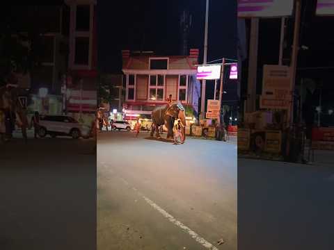 എന്താ മൊതല് വരുന്ന വരവ് കണ്ടോ 😱😱#shortsfeed #shorts #viral #viralshorts