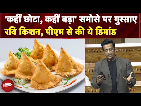 Samosa पर Ravi Kishan ने Parliament में ऐसा क्या कहा जो हो गया Viral, देखें VIDEO | Monsoon Session