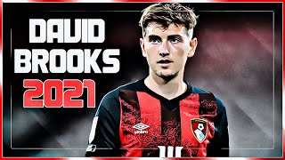 David Brooks - Bournemouth - Goals Skills Highlights