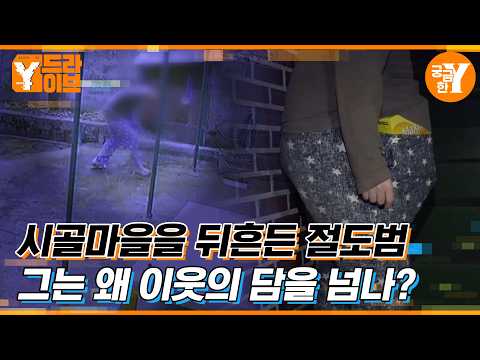 | <strong>Y드라이브</strong>