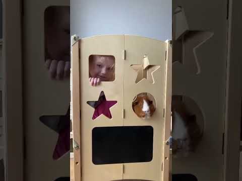 video screenshot