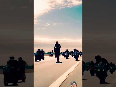 Let's go 🏍️🔥🌹 #race #racelover #racing #bike #ktmlover #bikelover #shortsvideo #motorcycle