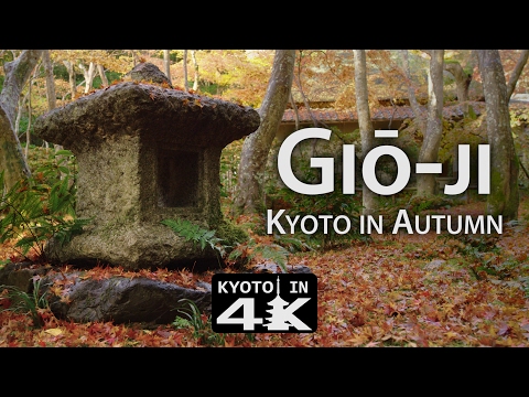 Beautiful Kyoto: Autumn 2016 at Gi?-ji   [4k]