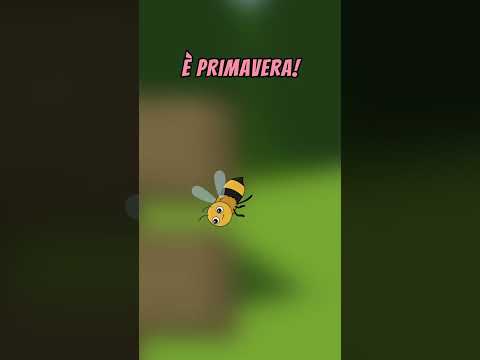 È ARRIVATA LA PRIMAVERA🌼