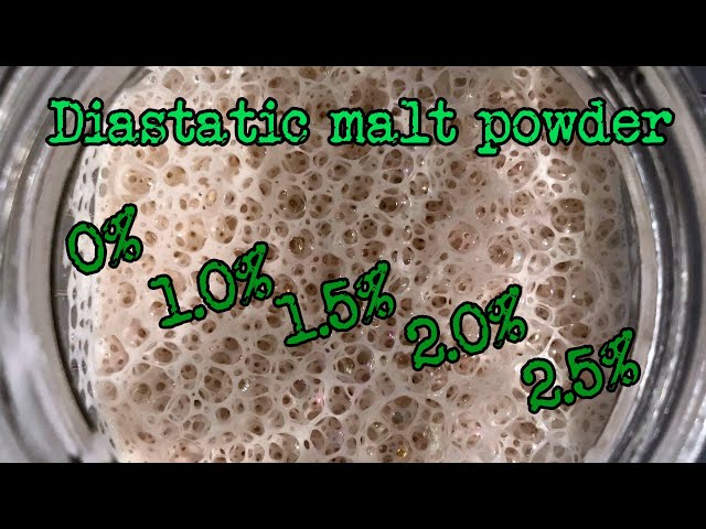 How Much Diastatic Malt Powder to Use in Pizza Dough
