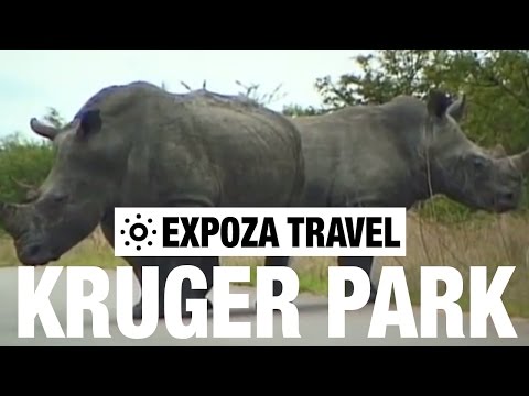 Kruger Park (South Africa) Vacation Travel Video Guide - UC3o_gaqvLoPSRVMc2GmkDrg