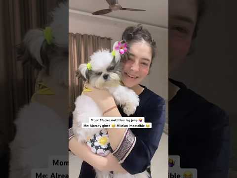 Mission impossible 😂 #funny #shitzu #shorts #shortvideo #dogshorts
