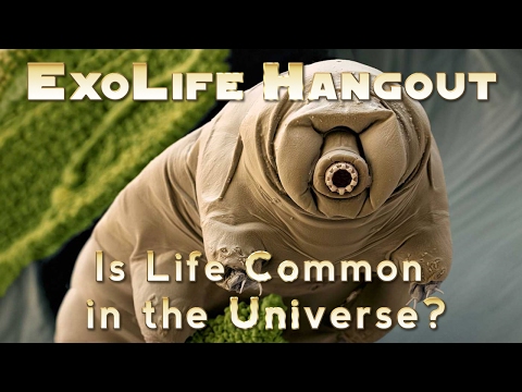 Is Life Common in the Universe? - UCQkLvACGWo8IlY1-WKfPp6g