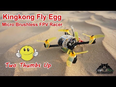 KingKong FlyEgg 130 Outdoor Flight Testing and FPV FreeStyling - UCsFctXdFnbeoKpLefdEloEQ