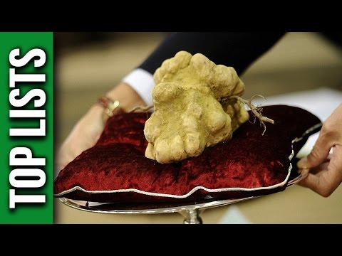 10 Rarest Foods In The World - UCpOlCpYDCelxVJWtbZsYOmQ