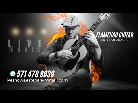 FLAMENCO REEL ESTEBAN ARAQUE DMV
