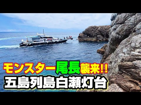 【梅雨のモンスター尾長を狙え！】五島列島白瀬灯台 2025年6月！