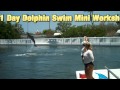 Swim WIth THe Dolphin key largo Video