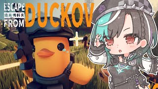【Escape From Duckov】アヒルの世界で生き延びる・・!?【#輪堂千速 / #hololivedev_is  #FLOWGLO
