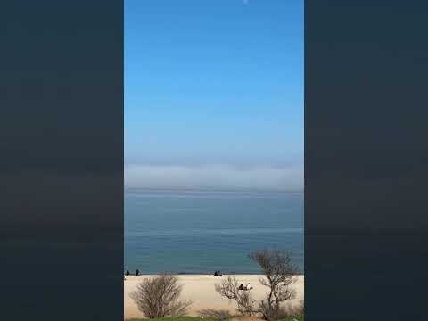 Одеса дивовижна #одессасегодня #інсайди #cat #море