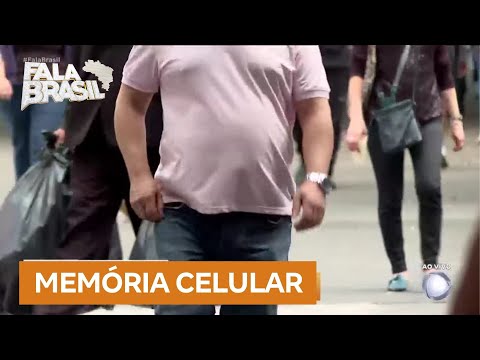 Pesquisa mostra que células de gordura têm memória da obesidade, dificultando manutenção do peso