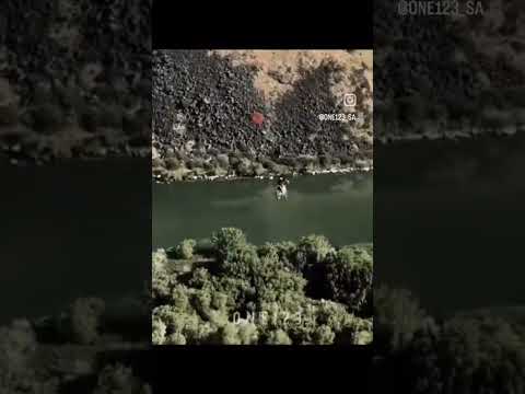 ٢٩ أكتوبر ٢٠٢٥