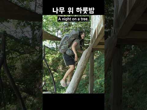 나무 위에서 잔다고? 트리하우스 캠핑 🌳 #shorts