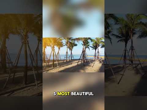 “How Diamonds Changed This Country Forever 💍⚔️”