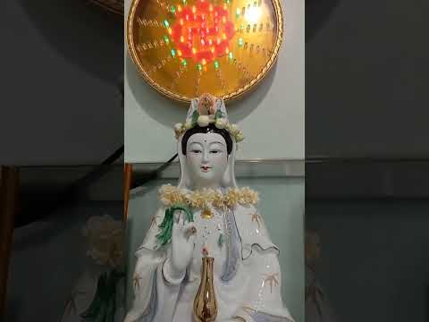 NHÂN QUẢ Ở ĐỜI, HÃY TIN RẰNG ĐỜI CÓ TÂM LINH. HOA SEN NỞ SỚM MAI