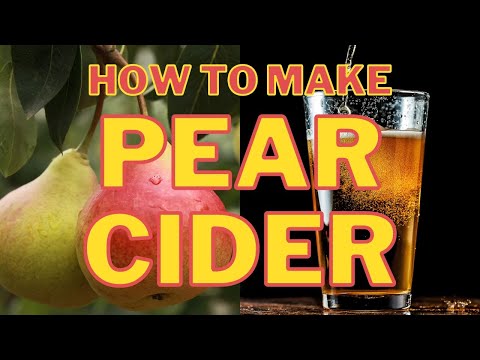 Making Pear Cider / Perry ...easy, fool-proof and tasty!