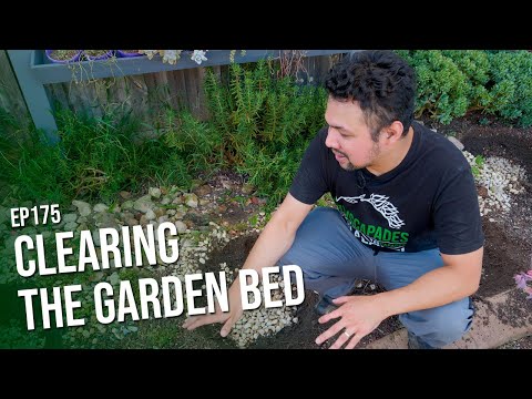 #175 Clearing the garden bed